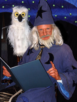 wizard's library teaches about the magic of reading